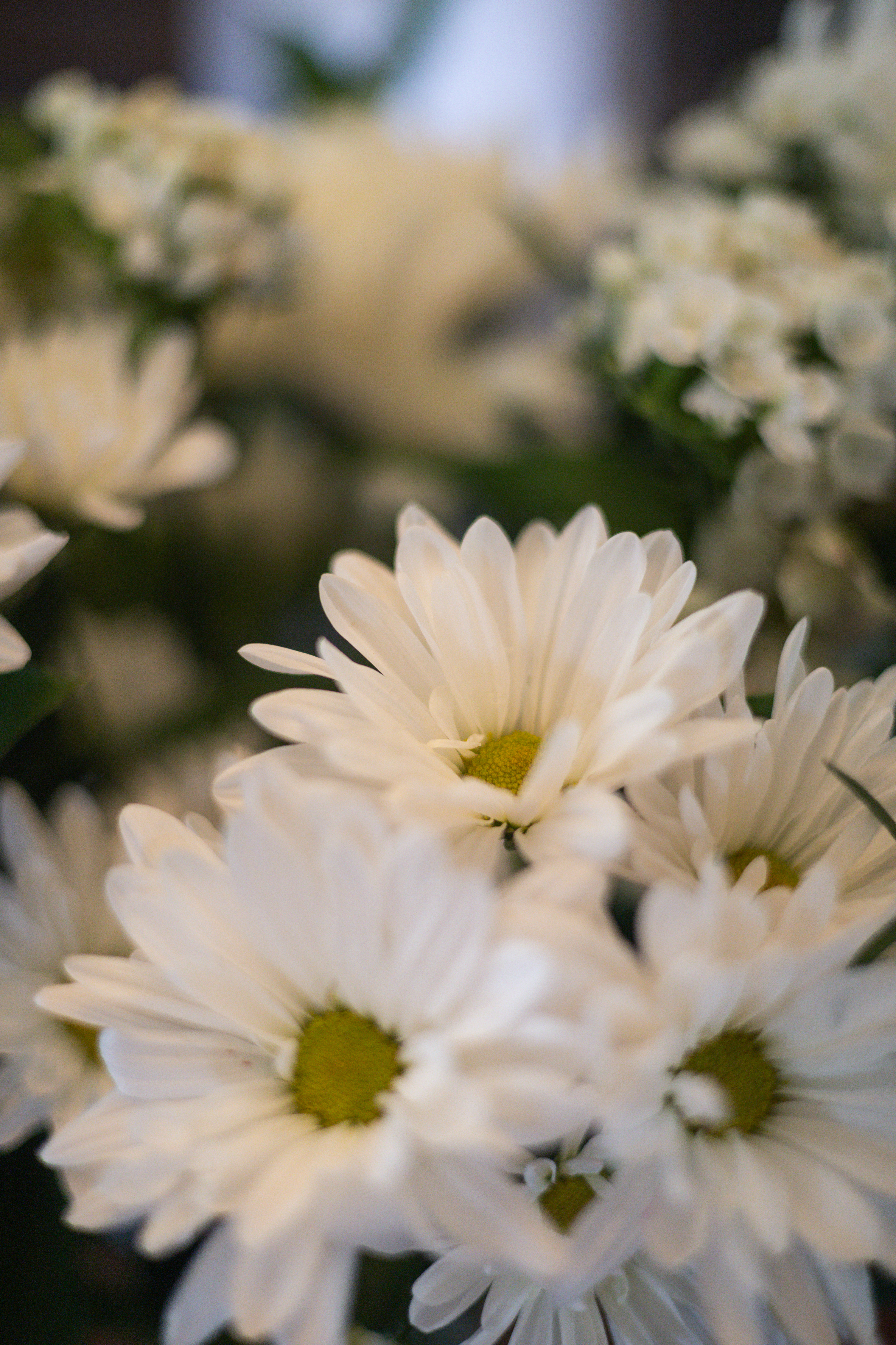 Misc Wedding